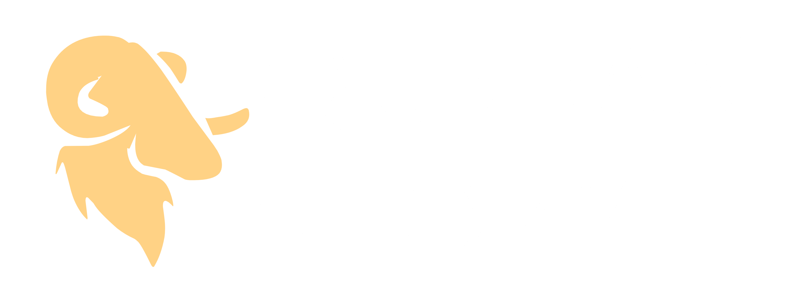 Qurban Story